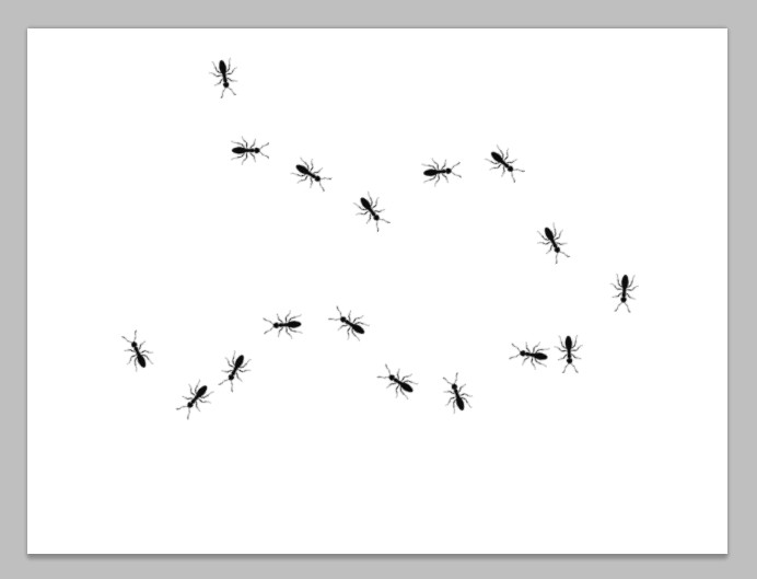 フォトショップのカスタムブラシで蟻の行列を描く ハンコさんち通信