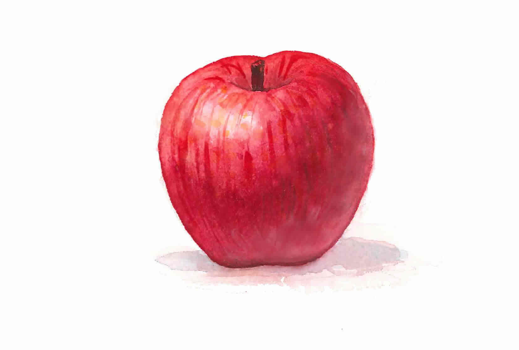 りんごの水彩画 ステルス値上げ